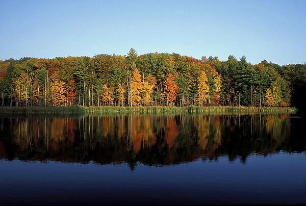 Peverly Pond. Fall foliage reflects in pond. Great Bay N. W. R. Newington, NH