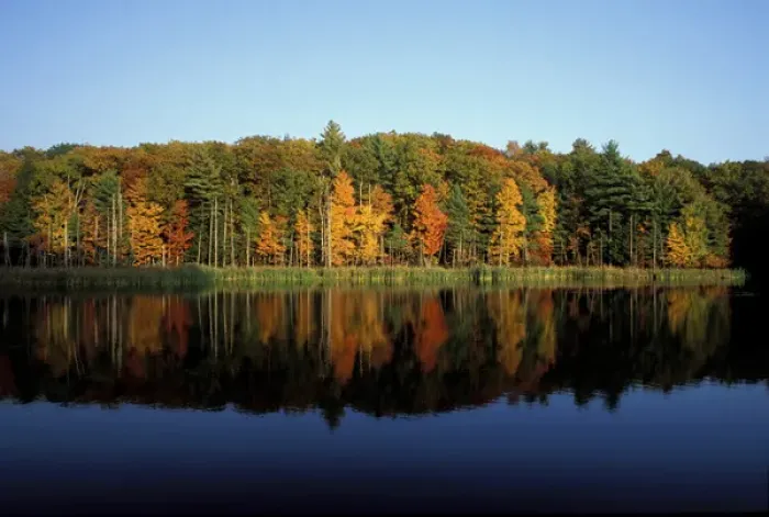 Framed Print : Peverly Pond. Fall foliage reflects in pond. Great Bay N. W. R. Newington, NH Framed Print : Peverly Pond. Fall foliage reflects in pond. Great Bay N. W. R. Newington, NH