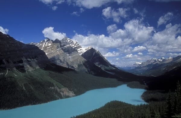 Peyto Lake with its water runoff from Peyto Glacier in Banff National Park, Canada