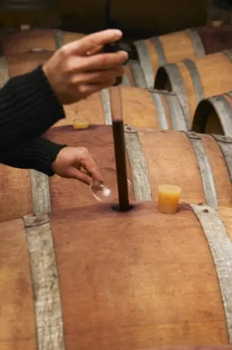 Framed Print : Philippe Viret taking a barrel sample of aging red wine. Domaine Viret, Saint Maurice sur Eygues Framed Print : Philippe Viret taking a barrel sample of aging red wine. Domaine Viret, Saint Maurice sur Eygues