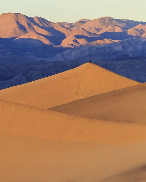 A photographer stands on top of a tall sand dune in sunrise light in the Mesquite Dunes