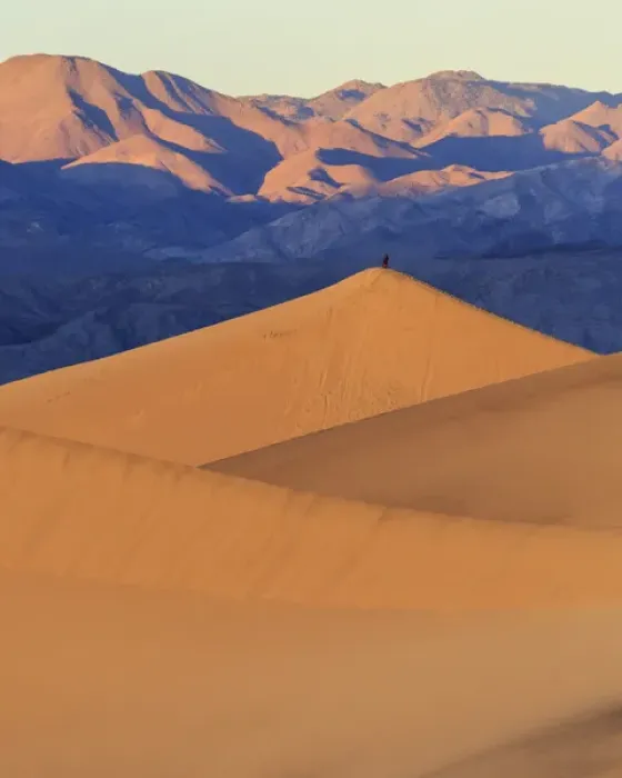 Framed Print : A photographer stands on top of a tall sand dune in sunrise light in the Mesquite Dunes