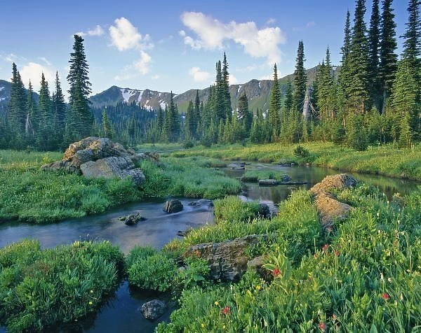Picnic Creek in the Jewel Basin of the Swan mountain Range in Montana