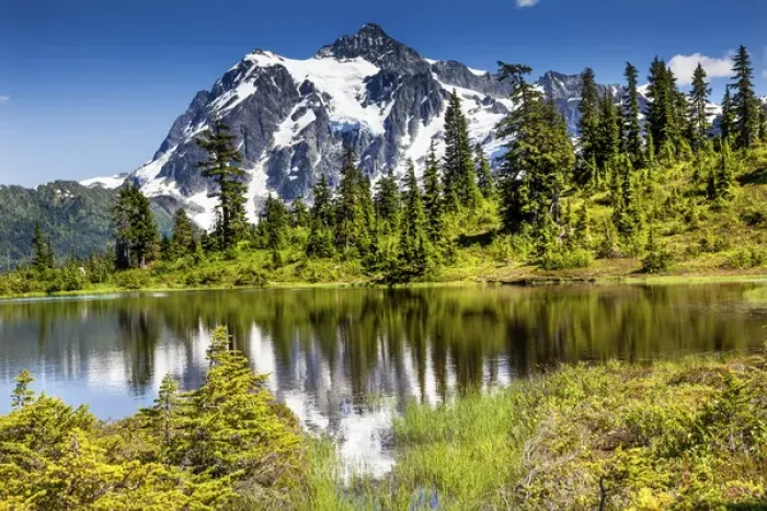 Framed Print : Picture Lake Evergreens Mount Shuksan Mount Baker Highway Snow Mountain Trees Washington Framed Print : Picture Lake Evergreens Mount Shuksan Mount Baker Highway Snow Mountain Trees Washington