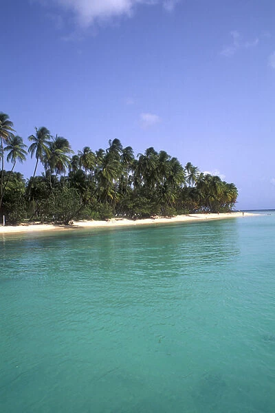 Pigeon point palms and beautiful beach Tobago