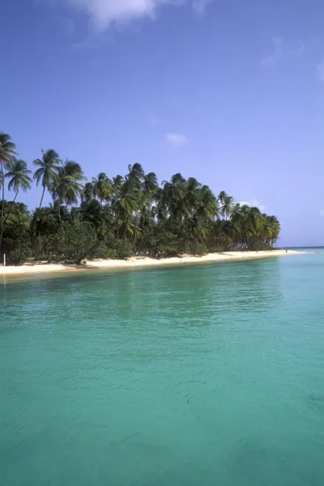 Framed Print : Pigeon point palms and beautiful beach Tobago
