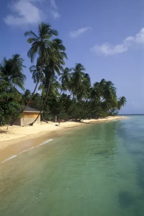 Framed Print : Pigeon point palms and beautiful beach Tobago