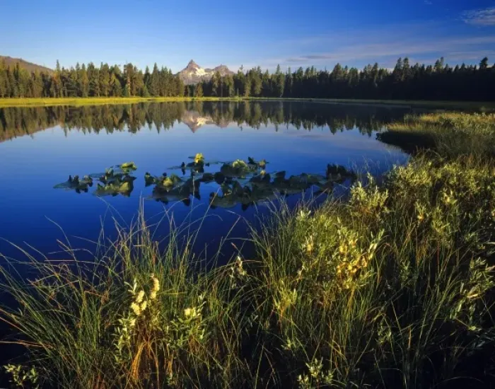 Framed Print : Pilot and Index Peaks refelct into Mud Lake in the Shoshone National Forest of Wyoming Framed Print : Pilot and Index Peaks refelct into Mud Lake in the Shoshone National Forest of Wyoming