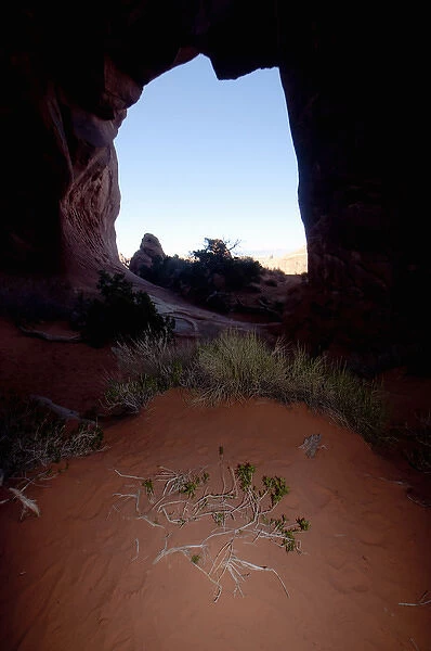 Pine Tree Arch, Arches National Park, Utah, US