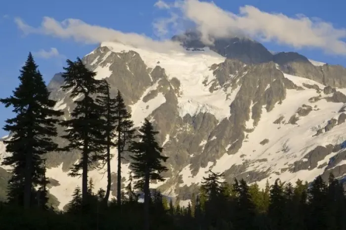 Framed Print : Pine trees silhouetted against Mtn Shuksan in the North Cascades of Washington Framed Print : Pine trees silhouetted against Mtn Shuksan in the North Cascades of Washington