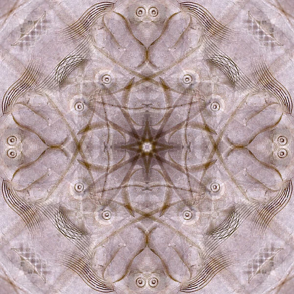 Pink and brown kaleidoscope abstract