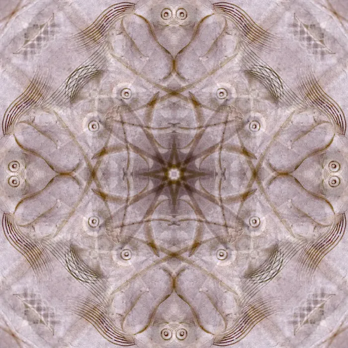 Framed Print : Pink and brown kaleidoscope abstract