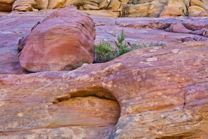 Framed Print : Pink Canyon, Valley of Fire State Park, Nevada, USA Framed Print : Pink Canyon, Valley of Fire State Park, Nevada, USA