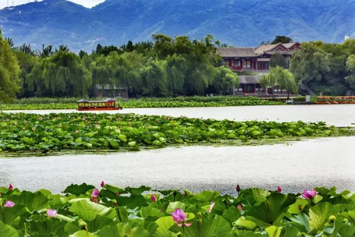 Framed Print : Pink Lotus Pads Garden Boat Buildings Summer Palace Beijing China Framed Print : Pink Lotus Pads Garden Boat Buildings Summer Palace Beijing China