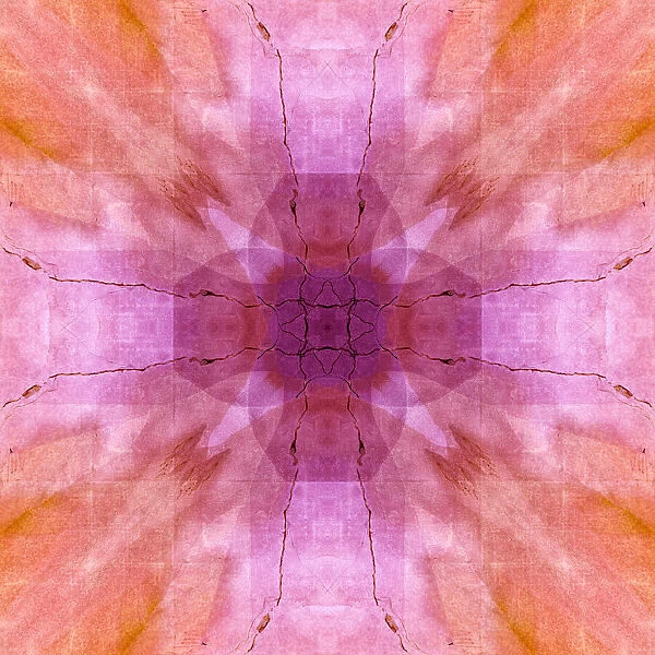 Pink and orange abstract