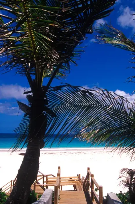 Framed Print : Pink Sand Beach, Harbour Island, Bahamas Framed Print : Pink Sand Beach, Harbour Island, Bahamas