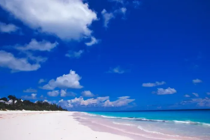 Framed Print : Pink Sand Beach, Harbour Island, Bahamas Framed Print : Pink Sand Beach, Harbour Island, Bahamas