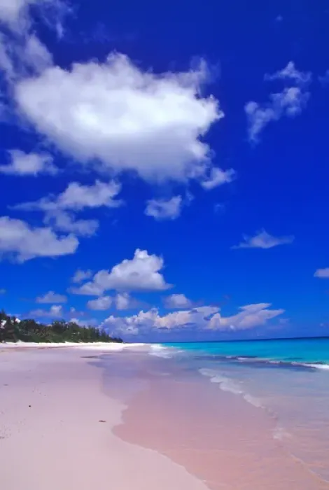 Framed Print : Pink Sand Beach, Harbour Island, Bahamas