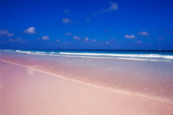Framed Print : Pink Sand Beach, Harbour Island, Bahamas Framed Print : Pink Sand Beach, Harbour Island, Bahamas