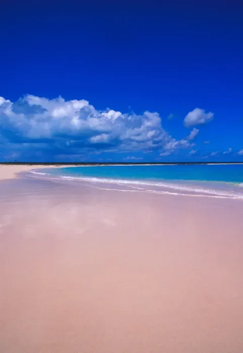 Framed Print : Pink Sand Beach, Harbour Island, Bahamas Framed Print : Pink Sand Beach, Harbour Island, Bahamas