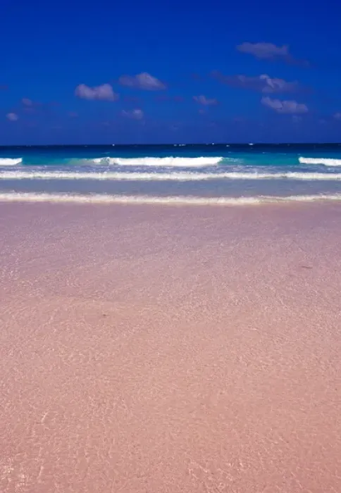 Framed Print : Pink Sand Beach, Harbour Island, Bahamas Framed Print : Pink Sand Beach, Harbour Island, Bahamas
