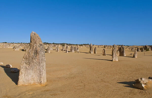 The Pinnacles a famous rock formation in Nambung National Park in Western Australia