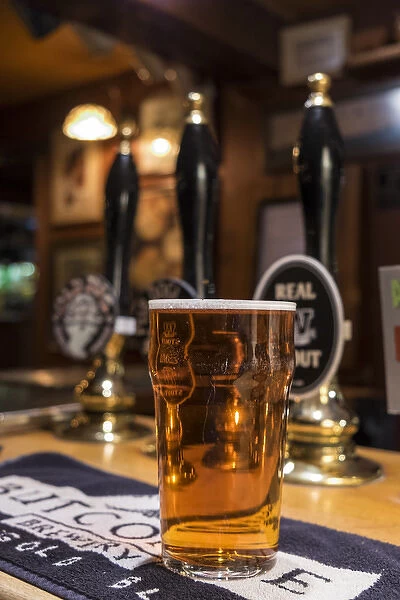 Pint of beer, traditional pub, UK