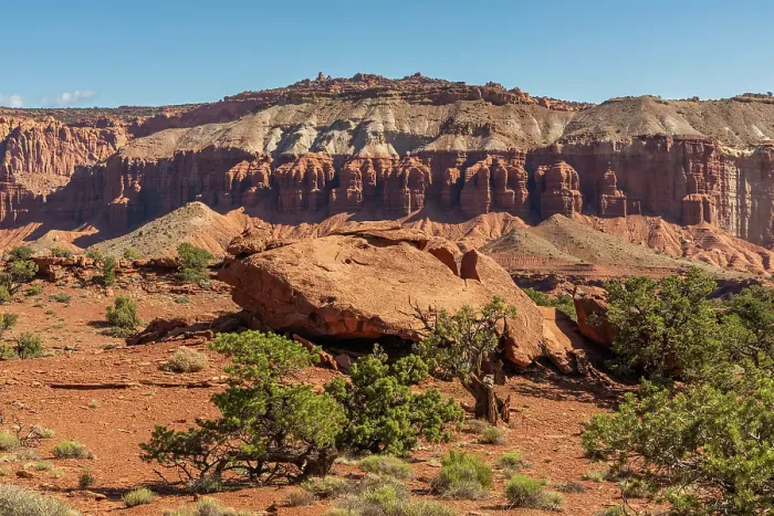Framed Print : Pinyon pines and the Fluted Wall, Sunset Point, Capitol Reef National Park, Utah, US