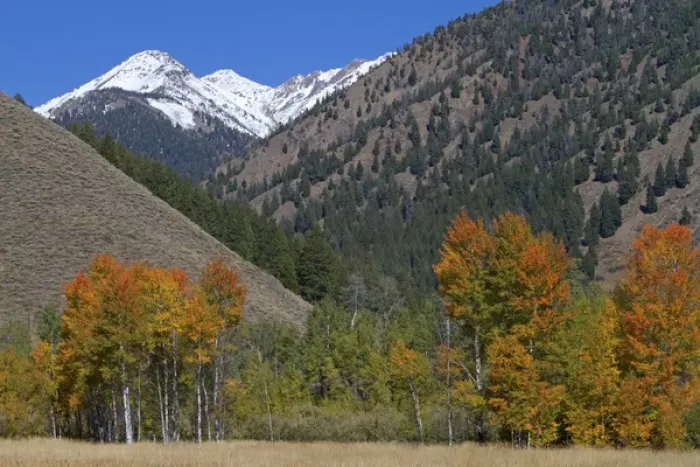 Framed Print : The Pioneer Mountains near Sun Valley, Idaho, USA