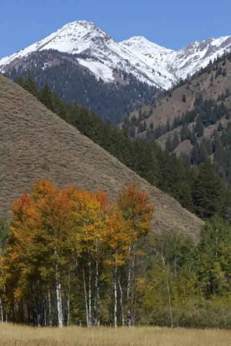 Framed Print : The Pioneer Mountains near Sun Valley, Idaho, USA Framed Print : The Pioneer Mountains near Sun Valley, Idaho, USA