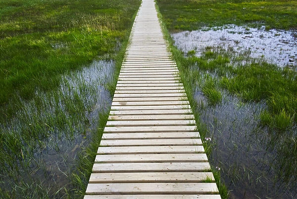 A plank pathway in Landmannalaugar, Iceland