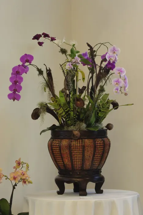 Framed Print : Planter full of orchids, Delray Beach, Florida