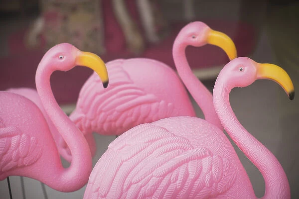 Plastic pink flamingos, Charleston, South Carolina. USA