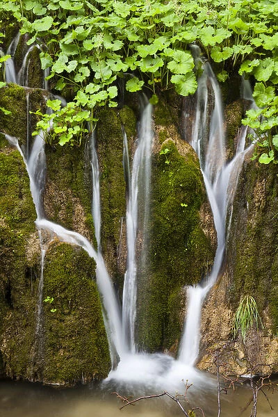 The Plitvice Lakes in the National Park Plitvicka Jezera in Croatia. The upper lakes