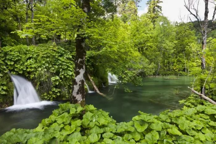 Framed Print : The Plitvice Lakes in the National Park Plitvicka Jezera in Croatia. The upper lakes