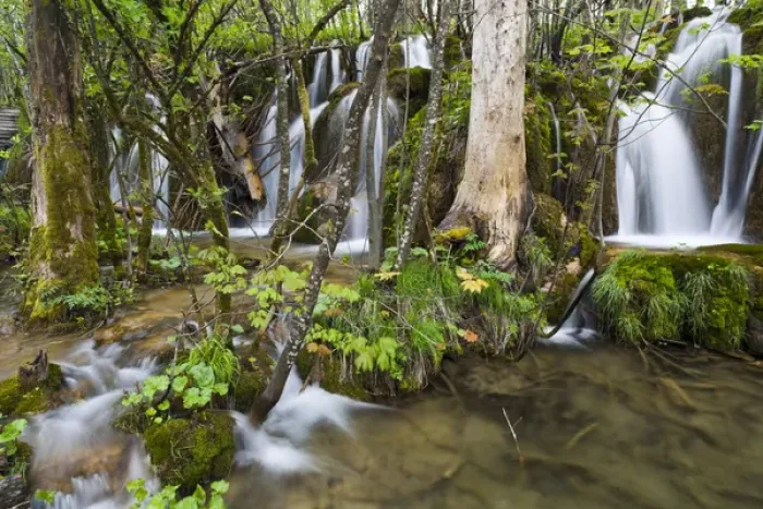 Framed Print : The Plitvice Lakes in the National Park Plitvicka Jezera in Croatia. The upper lakes Framed Print : The Plitvice Lakes in the National Park Plitvicka Jezera in Croatia. The upper lakes