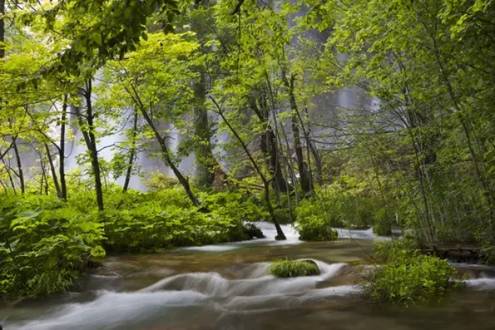 Framed Print : The Plitvice Lakes in the National Park Plitvicka Jezera in Croatia. The upper lakes