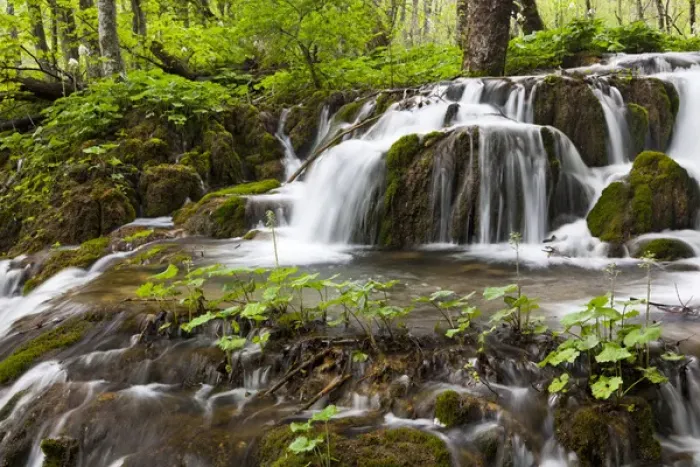 Framed Print : The Plitvice Lakes in the National Park Plitvicka Jezera in Croatia. The upper lakes Framed Print : The Plitvice Lakes in the National Park Plitvicka Jezera in Croatia. The upper lakes