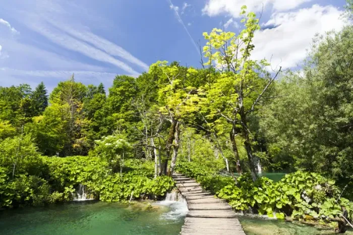 Framed Print : The Plitvice Lakes in the National Park Plitvicka Jezera in Croatia. Typical plank path Framed Print : The Plitvice Lakes in the National Park Plitvicka Jezera in Croatia. Typical plank path