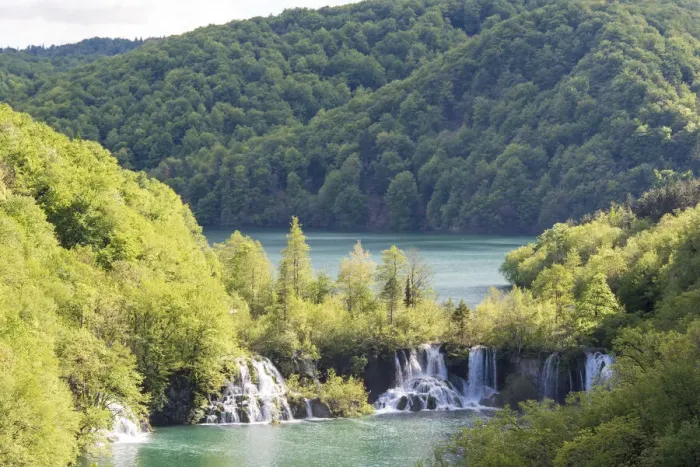 Framed Print : Plitvice National Park cascades step down from lower lake Kozjak to smaller lakes Framed Print : Plitvice National Park cascades step down from lower lake Kozjak to smaller lakes