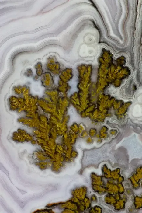 Framed Print : Plume Agate, Quartzsite, AZ Framed Print : Plume Agate, Quartzsite, AZ