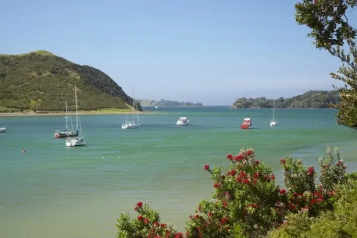 Framed Print : Pohutukawa tree and yachts moored in Waipiro Bay, Parekura Bay, Bay of Islands, Northland Framed Print : Pohutukawa tree and yachts moored in Waipiro Bay, Parekura Bay, Bay of Islands, Northland