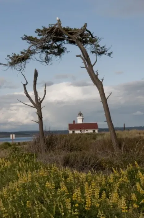 Framed Print : Point Wilson Lighthouse