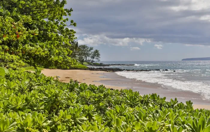 Framed Print : Polo Beach Park, Maui, Hawaii Framed Print : Polo Beach Park, Maui, Hawaii