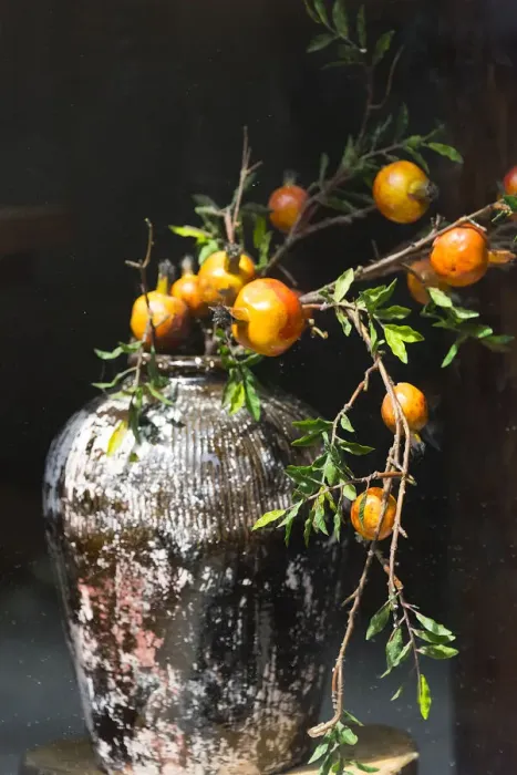 Framed Print : Pomegranate grown from a wine jar, Tangqi Ancient Town, Hangzhou, Zhejiang Province Framed Print : Pomegranate grown from a wine jar, Tangqi Ancient Town, Hangzhou, Zhejiang Province