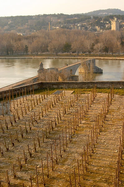 The Pont Saint St Benezet bridge in Avignon on the Rhone river and a vineyard seen