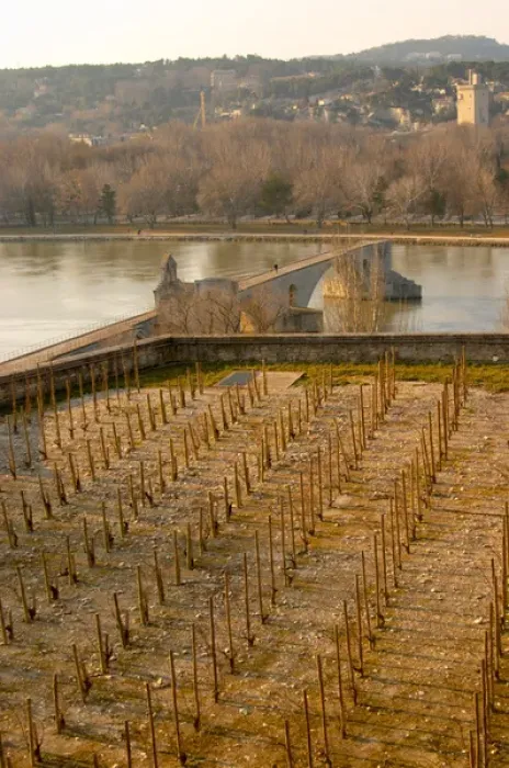 Framed Print : The Pont Saint St Benezet bridge in Avignon on the Rhone river and a vineyard seen Framed Print : The Pont Saint St Benezet bridge in Avignon on the Rhone river and a vineyard seen