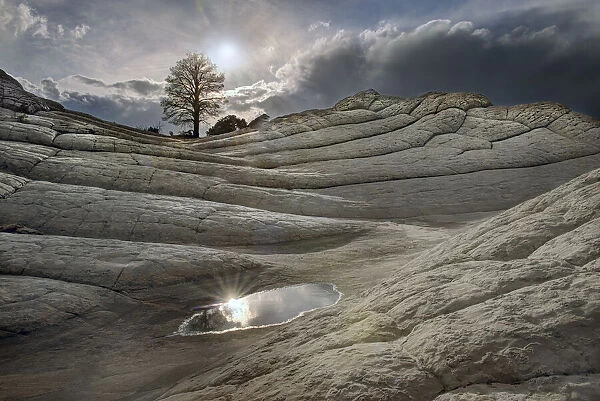 A pool reflects in folds of Brain Rock in white pockets in northern Arizona