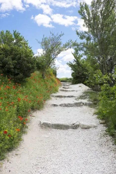 Framed Print : poppies on the grounds of Les Baux castle ruins. Les Baux, in and around the old Chateau Framed Print : poppies on the grounds of Les Baux castle ruins. Les Baux, in and around the old Chateau