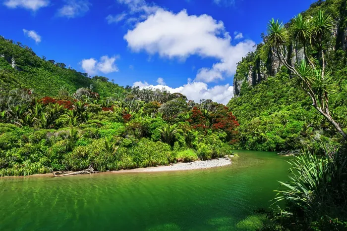 Framed Print : The Pororari River, Paparoa National Park, Punakaiki, New Zealand